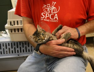 SPCA of Wake County