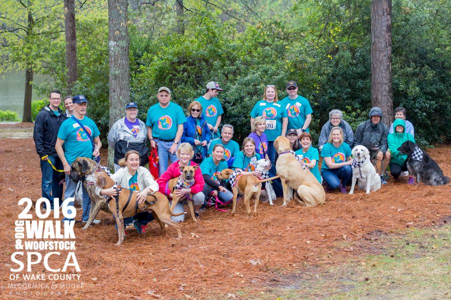2017 SPCA Dog Walk Fundraising - What works