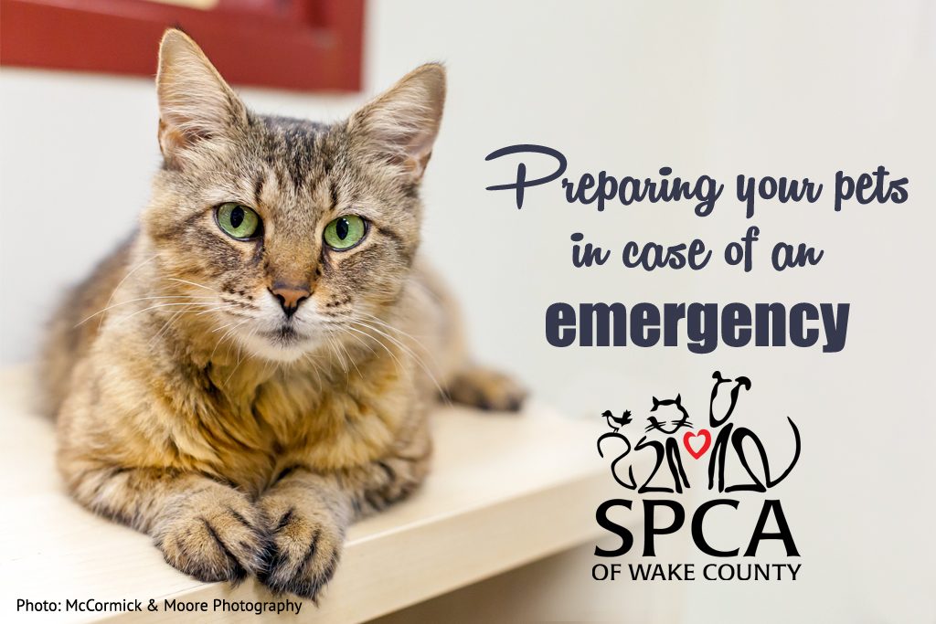Preparing your pets in case of emergency - SPCA of Wake County