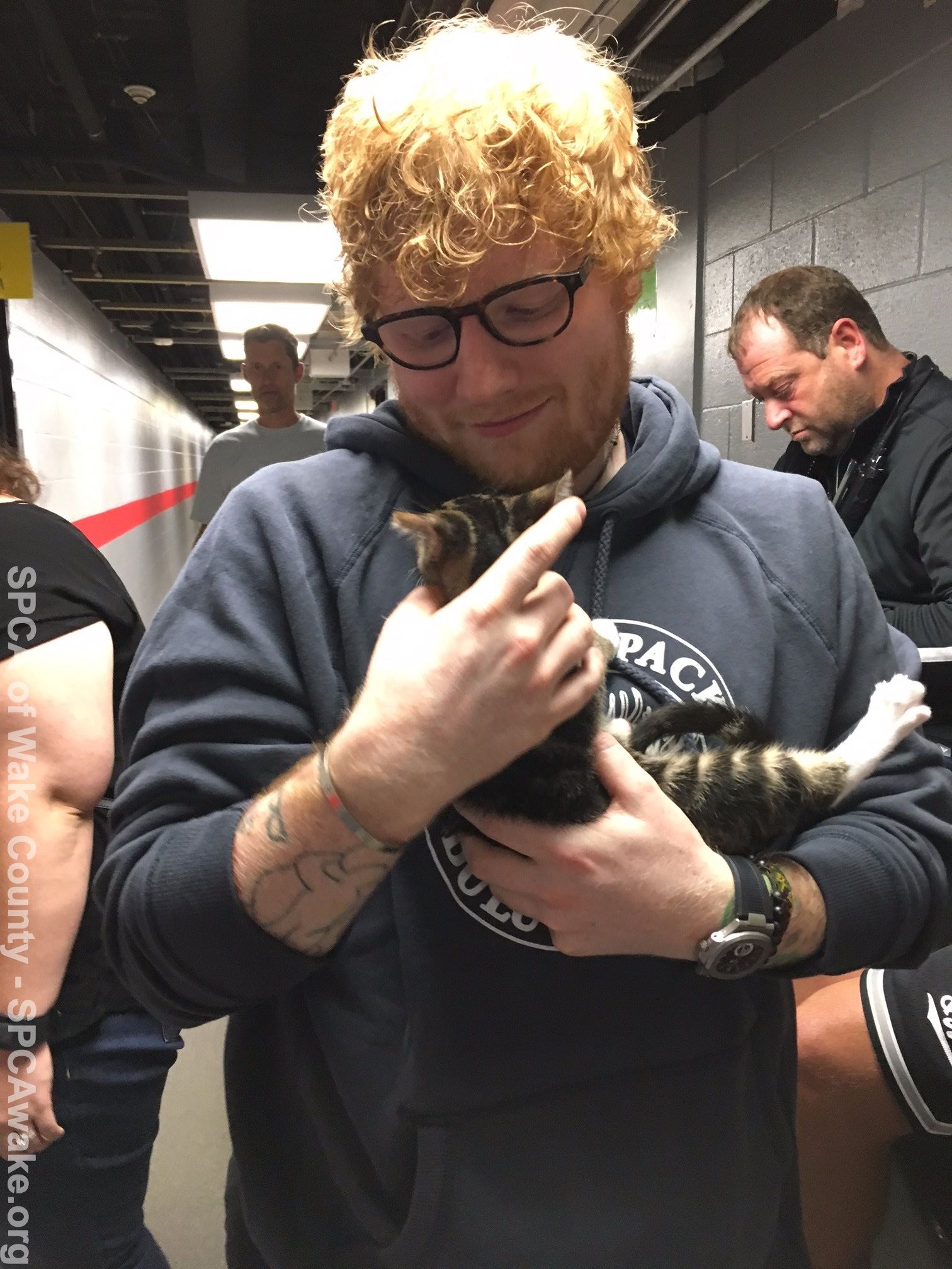 Ed Sheeran surprised with kittens during Raleigh concert