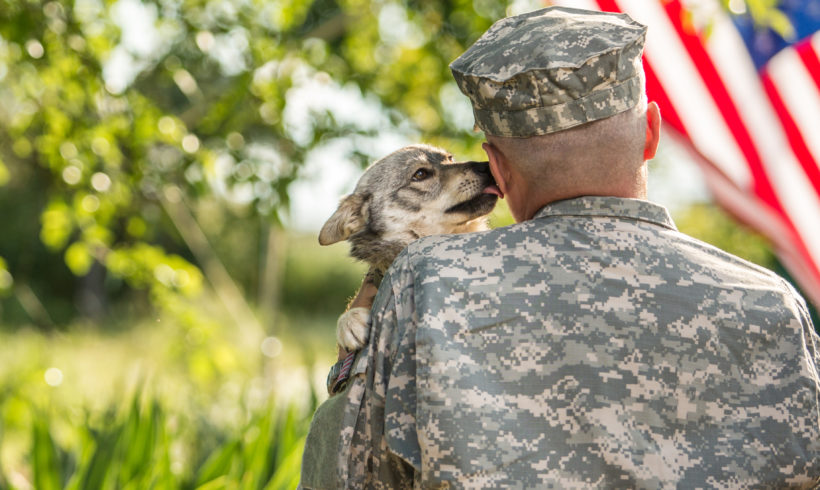 SPCA Honors Veterans and Military Members with Adoption Special