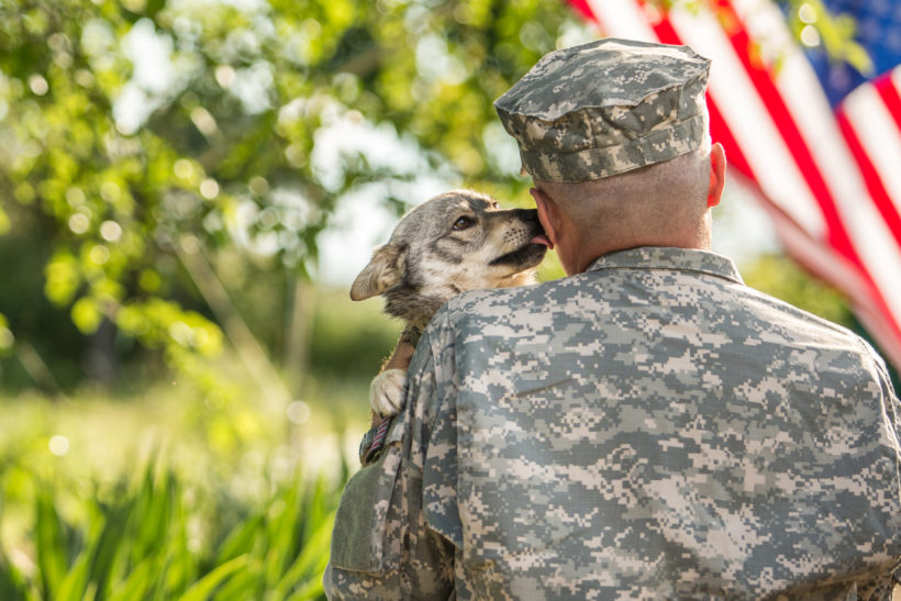 SPCA Honors Veterans and Military Members with Adoption Special