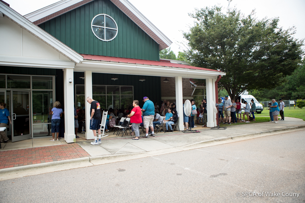 Clear the Shelters 2019 - What You Need to Know - SPCA of Wake County