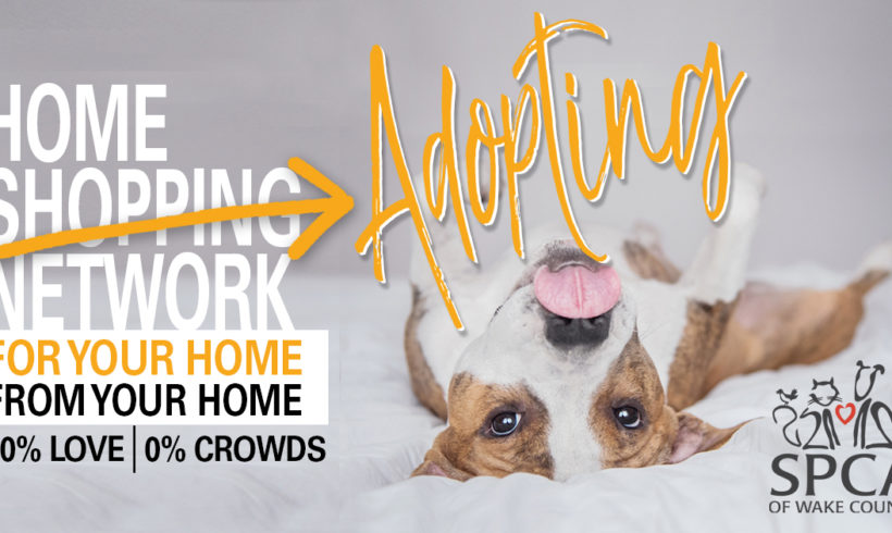 Home Adopting Network
