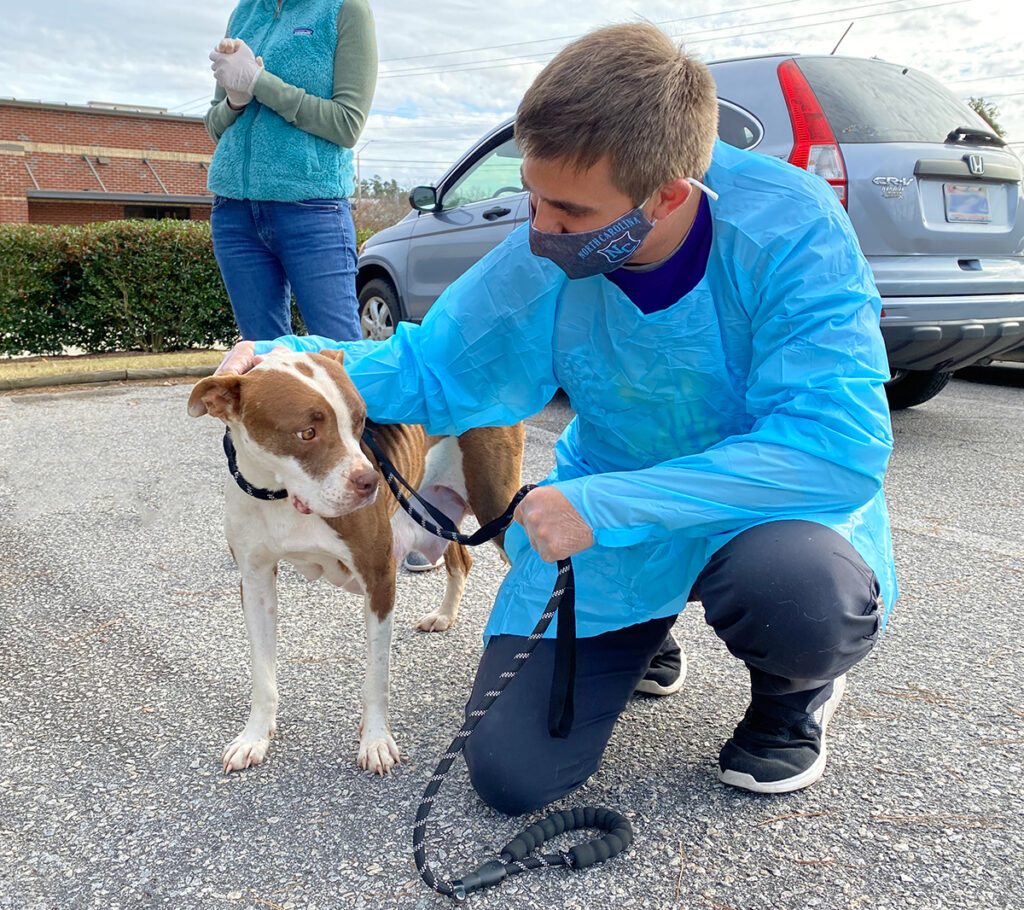 Spca Work Careers - SPCA of Wake County