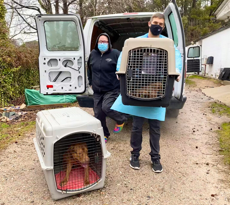 Spca Work Careers - SPCA of Wake County