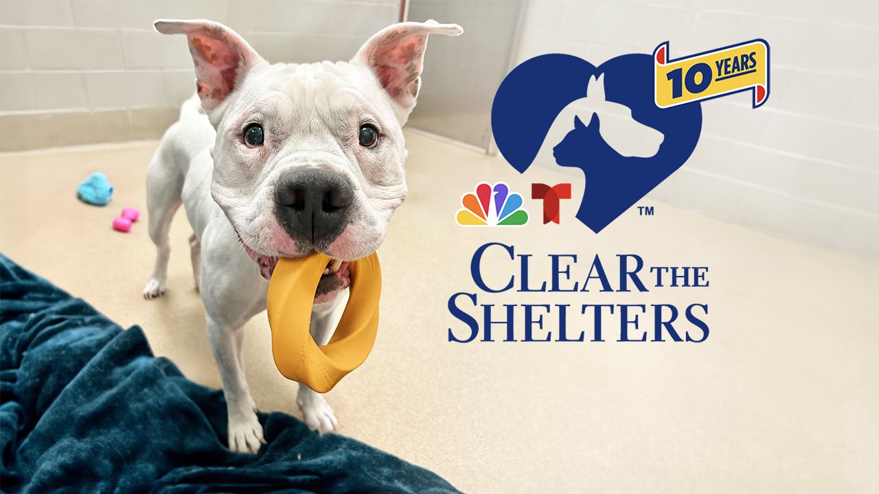Creating a Humane Community - SPCA of Wake County