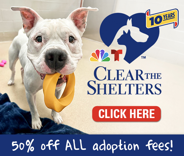 Creating a Humane Community - SPCA of Wake County