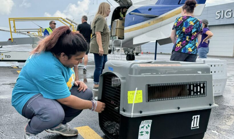 Hurricane Helene Emergency Response