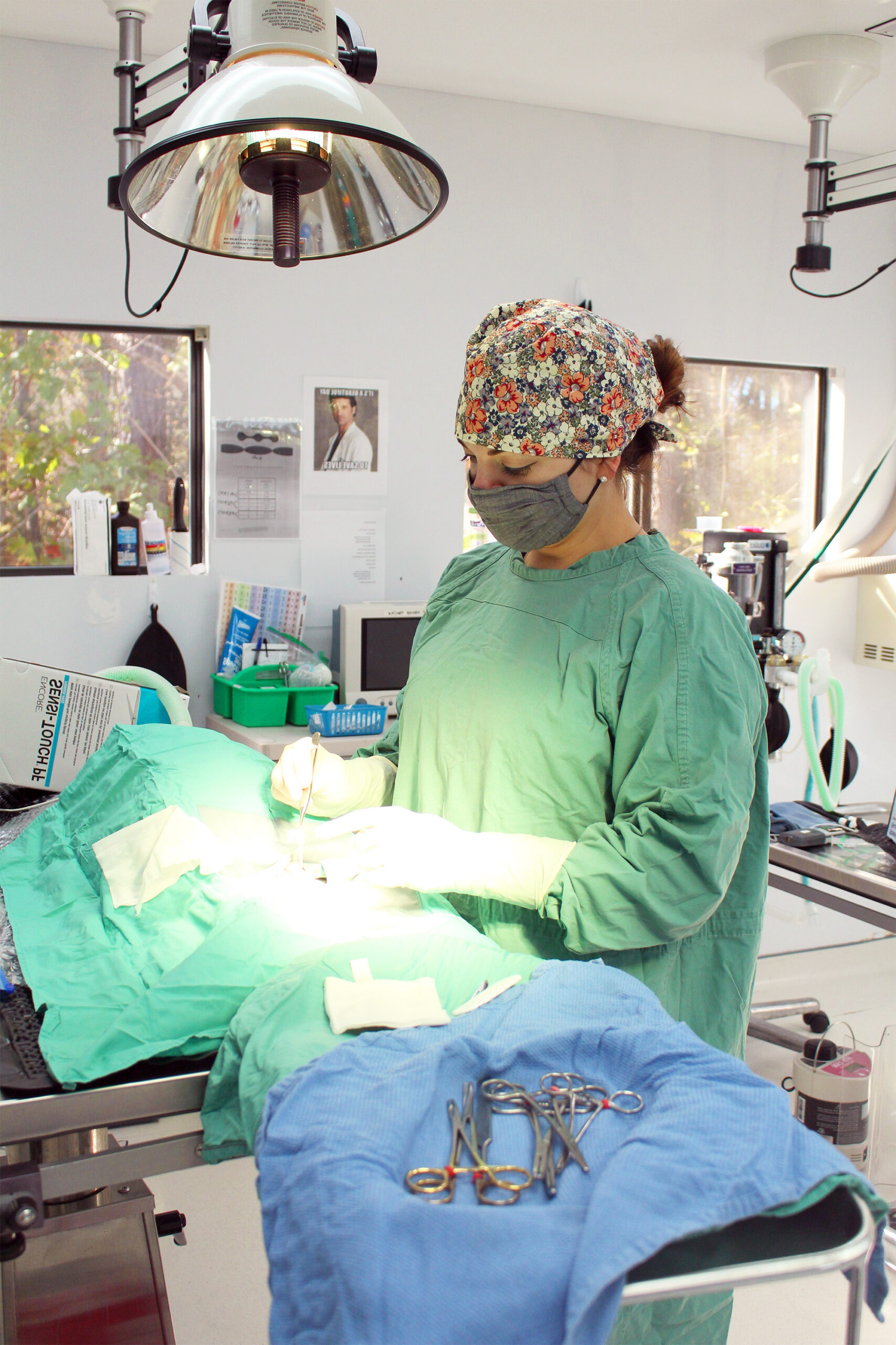a veterinarian working on a pet - SPCA of Wake County animal rescue humane society in Raleigh